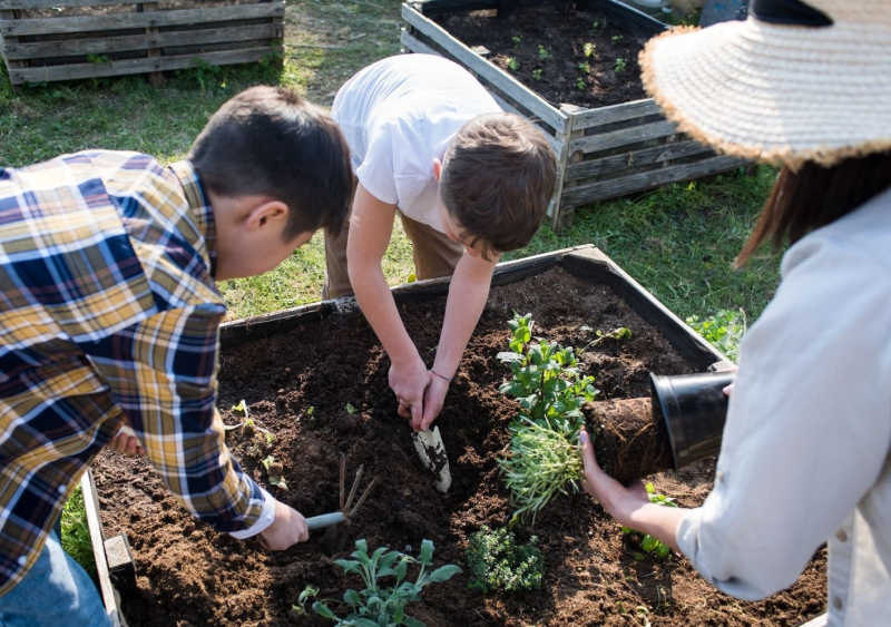 FSN - get involved corporate